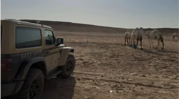 الأمن البيئي يوقف مواطنًا لممارسته الرعي الجائر في محمية الملك عبدالعزيز الملكية